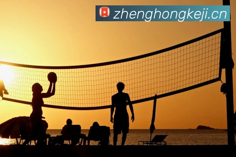 App Interface Preview